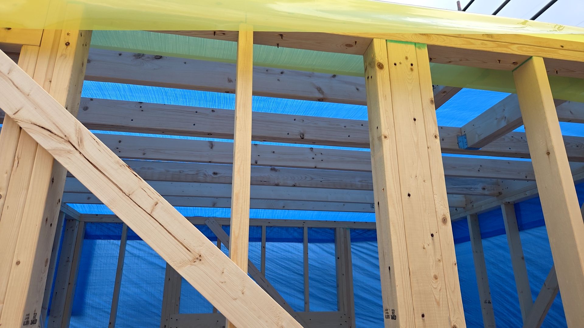 使用する釘・打ちかたなど、図面を確認しながら正確に施工しています。