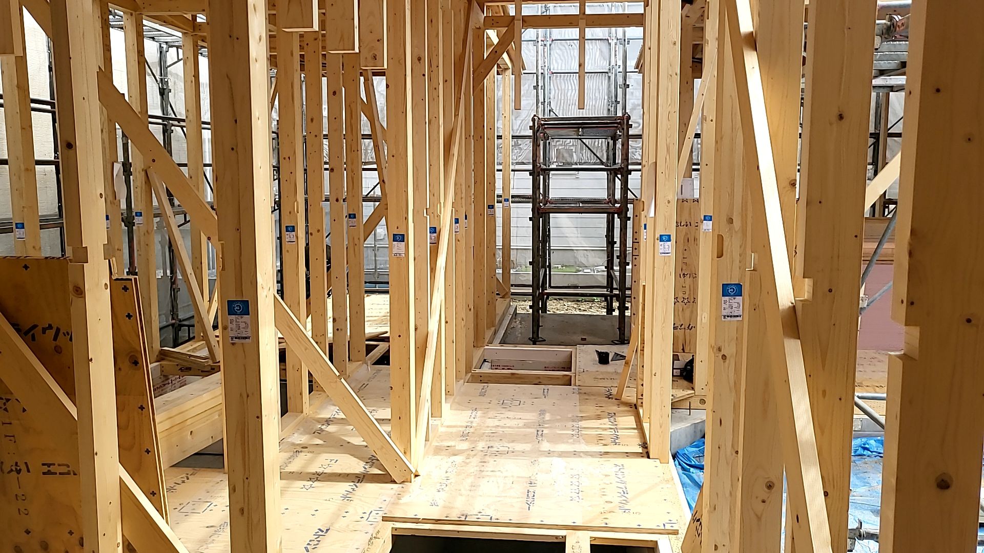 現場の様子です。