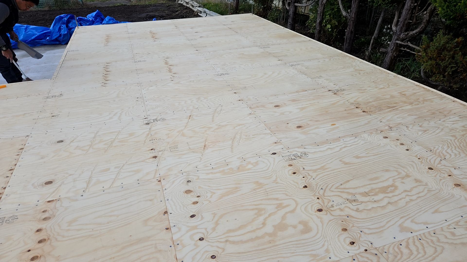 釘の間隔やめり込みに注意し合板貼りを行っております。