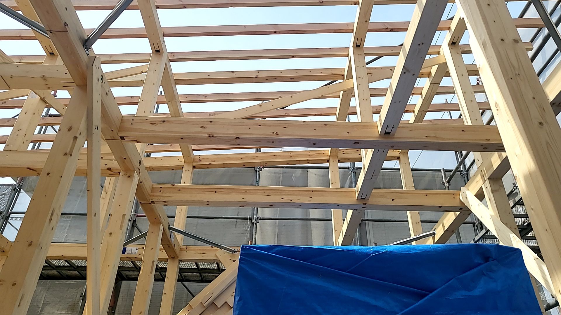 高所作業のため、安全帯などを着用し作業を行っております。