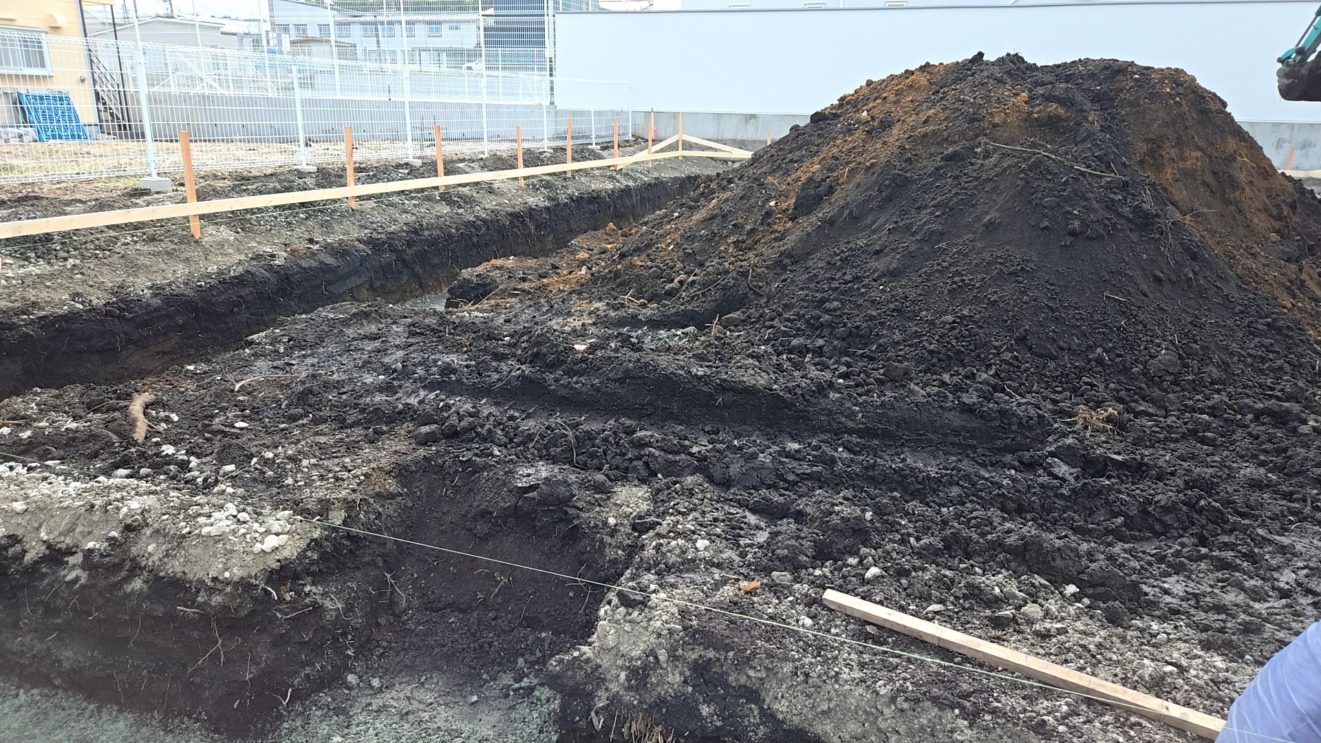 根堀が行われている様子です。