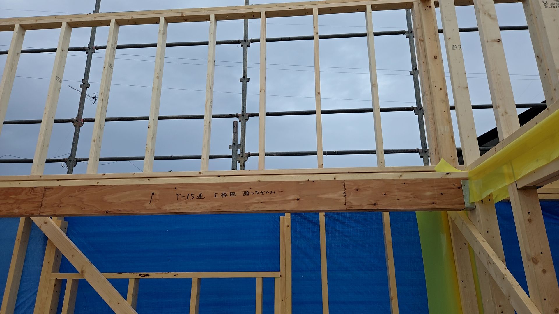 使用する釘・金物を図面を確認しながら、正確に施工しています。