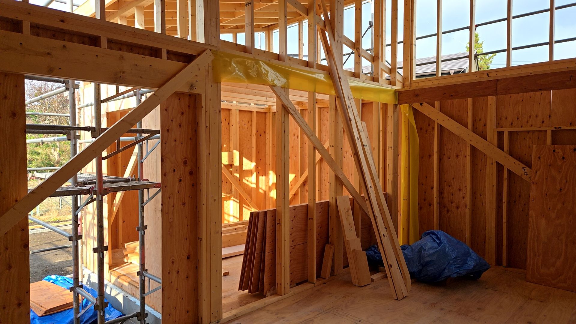 施工する釘・間隔を確認しながら、正確に作業を進めています。