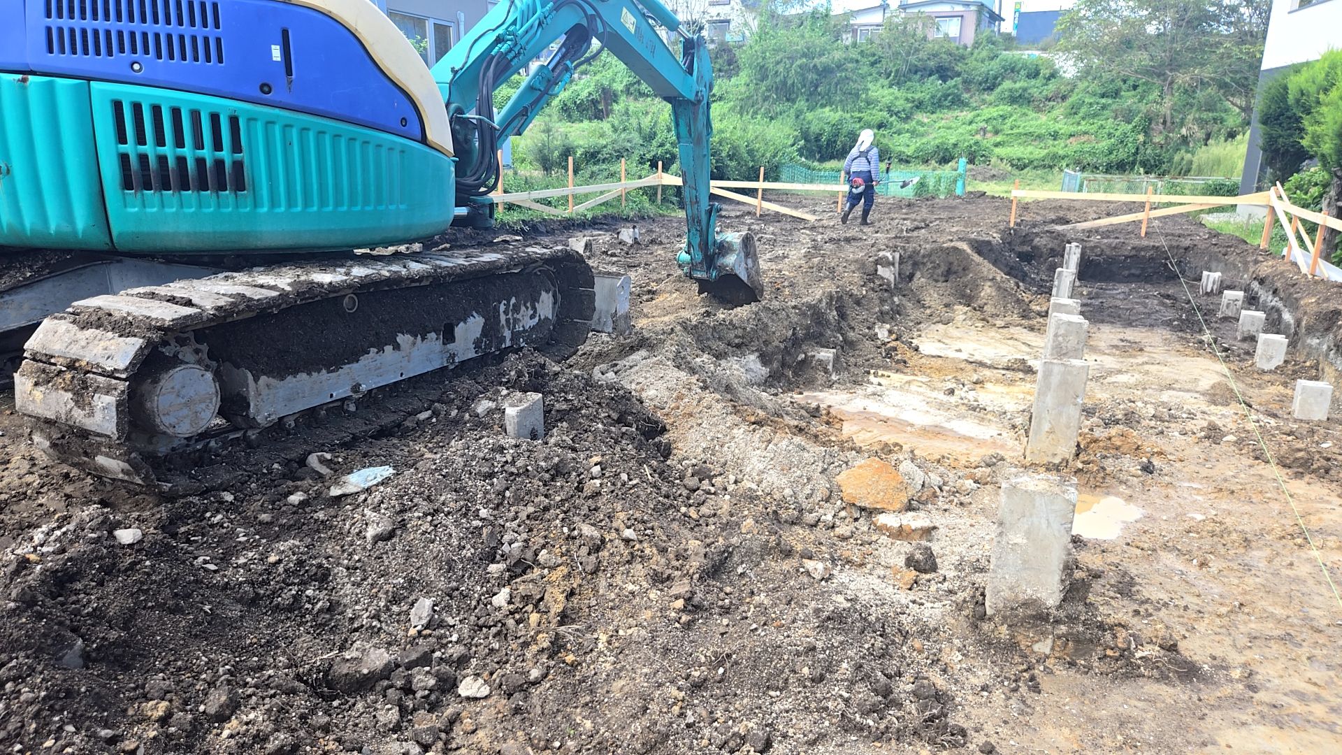 根堀が始まった様子です。