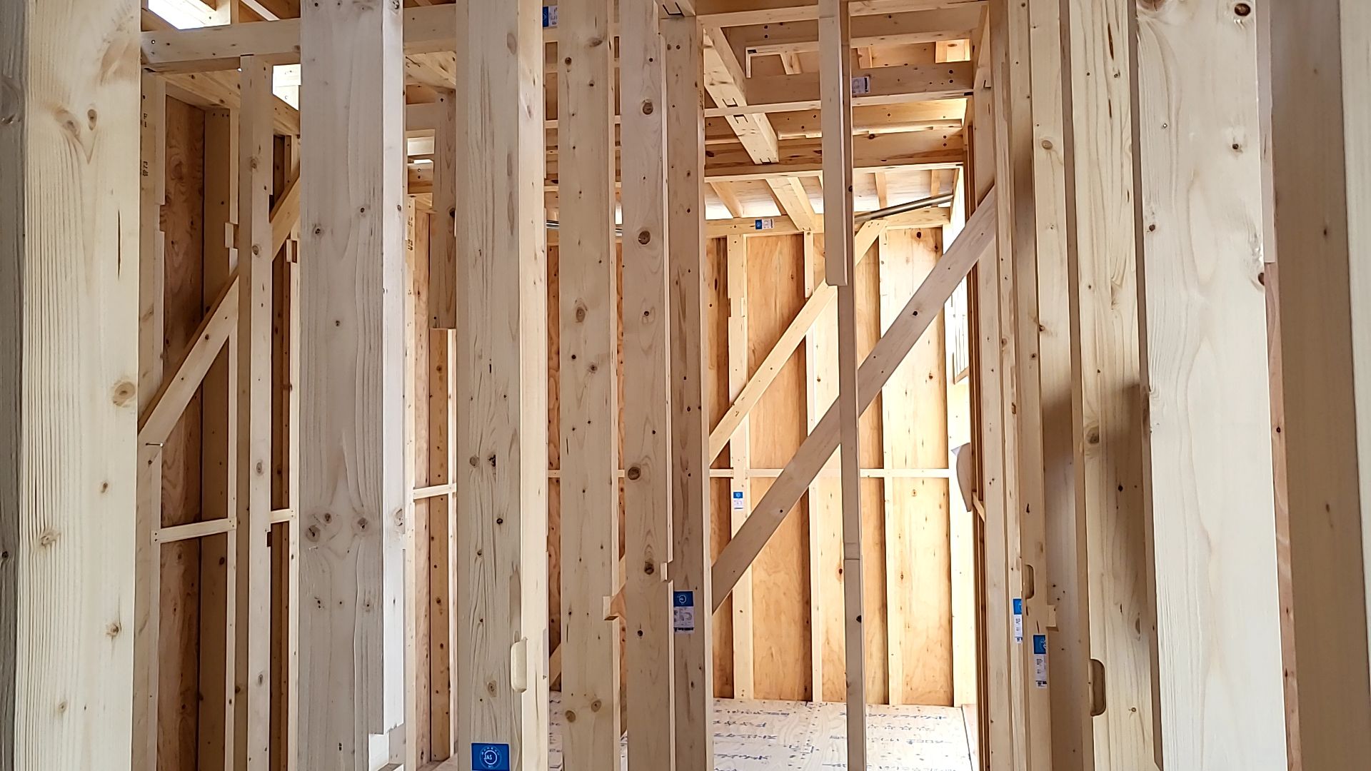 現場の様子です。